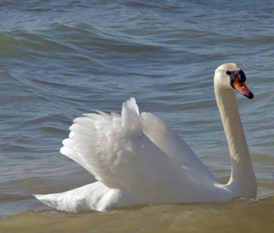 Прикрепленное изображение: LCIMGP5620.jpg